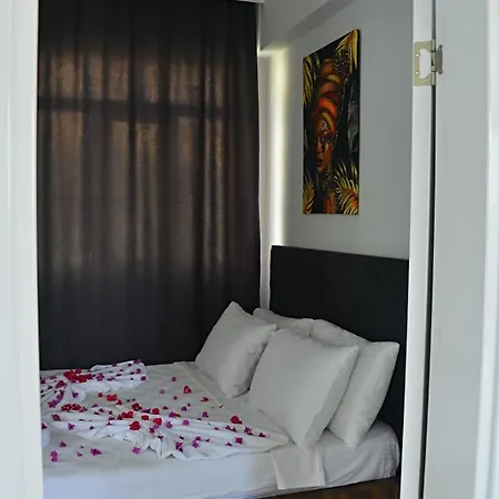 Apartment Side Lion King Aprt *